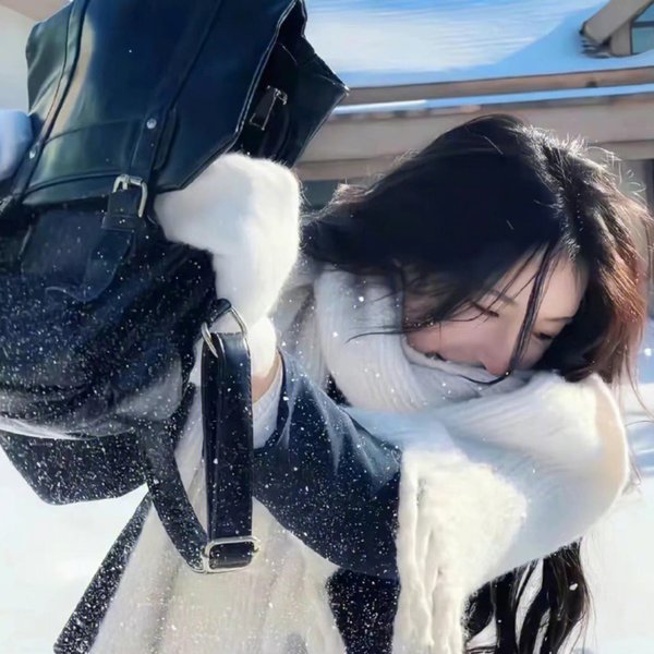 毕卡索之谜